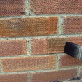 BILD4990.JPG